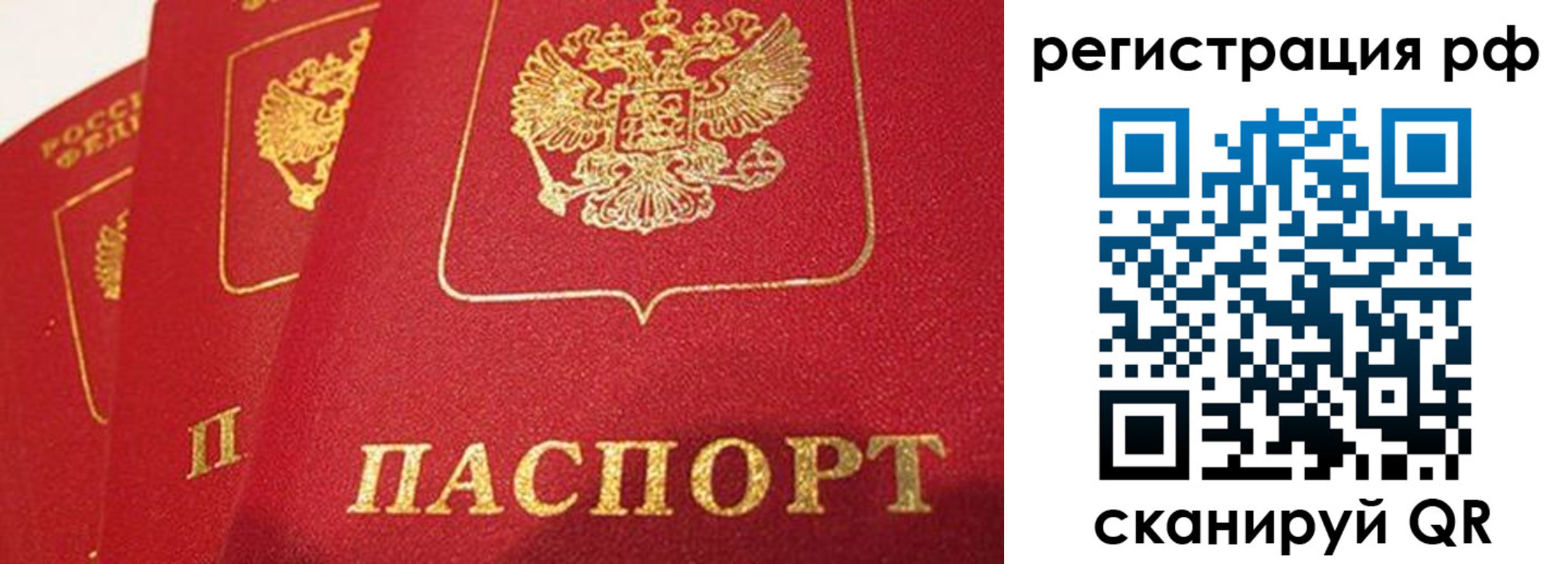 прописка поиск в Воронежской области